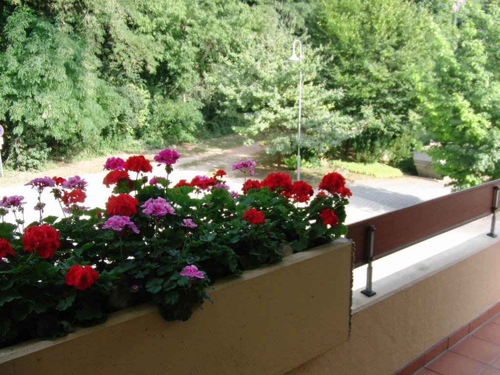 Appartementhaus im Grün Bad Bellingen Habitación foto